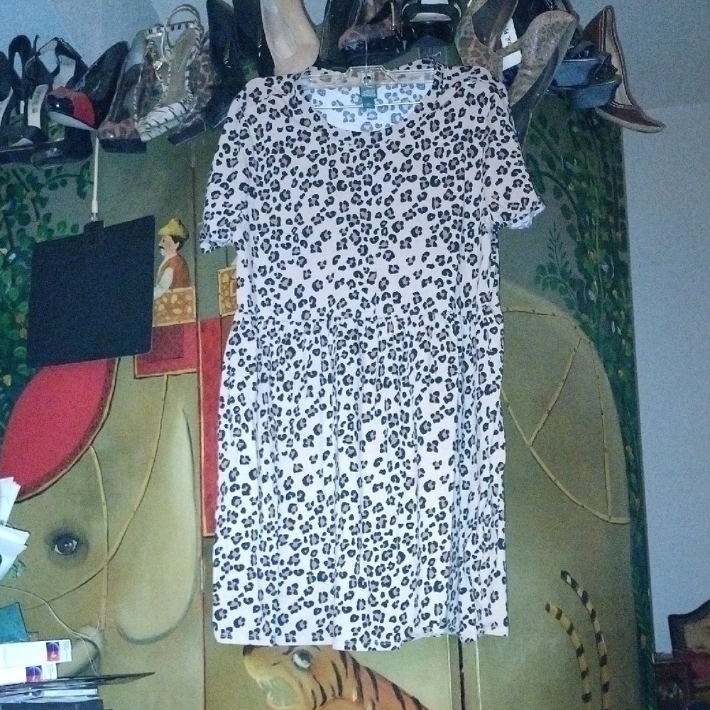 Wild Fable Cream and Black Animal Print Mini Dress